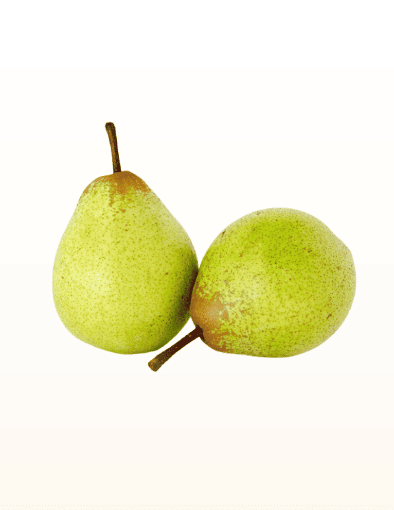 Poire Rocha
